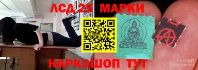 мдпв Камышлов