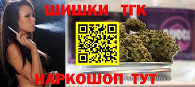 мдпв Камышлов