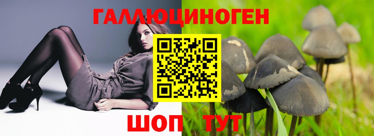 Галлюциногенные грибы мицелий  Вход с VPN  Псилоцибиновые грибы мицелий  Коммунар 